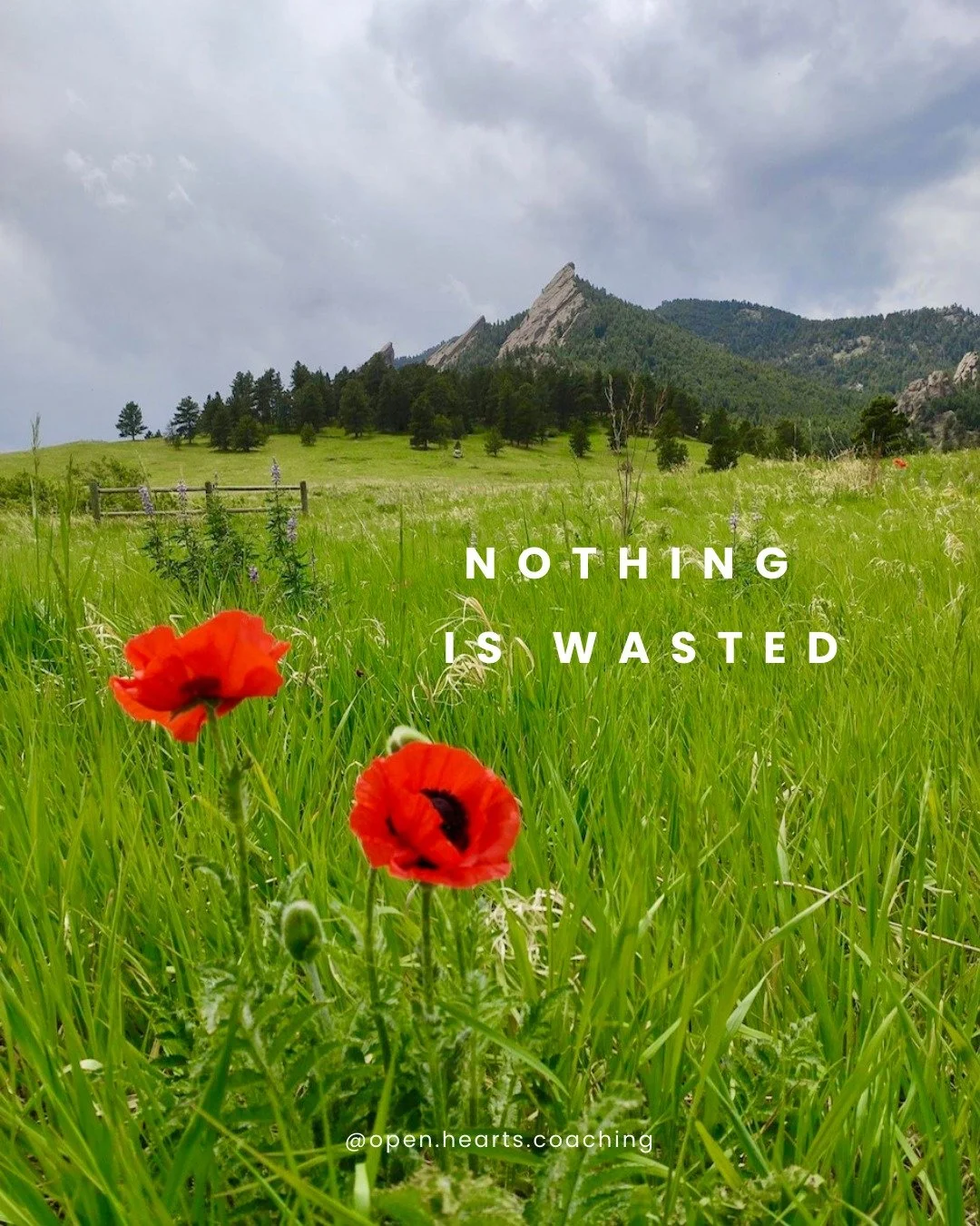 Alchemy leads to greater vitality. ⚡️

#femininespirituality #spirtualjourney #alchemy #spirituality #spirtualawakening