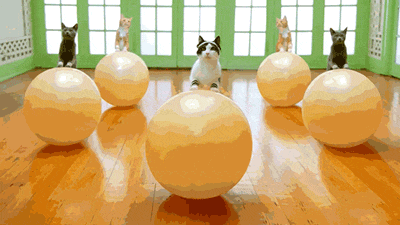IMG_7758.gif