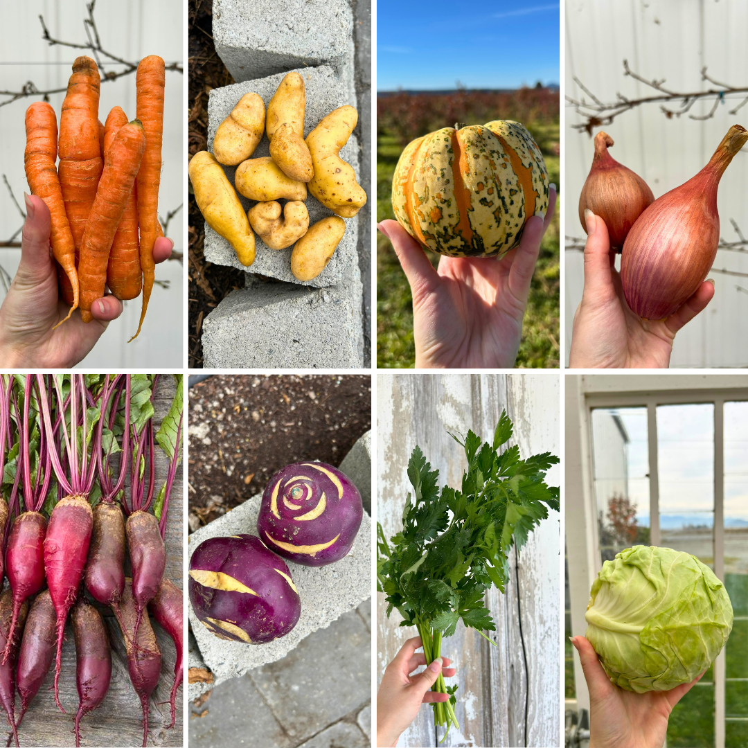 Week of January 26th