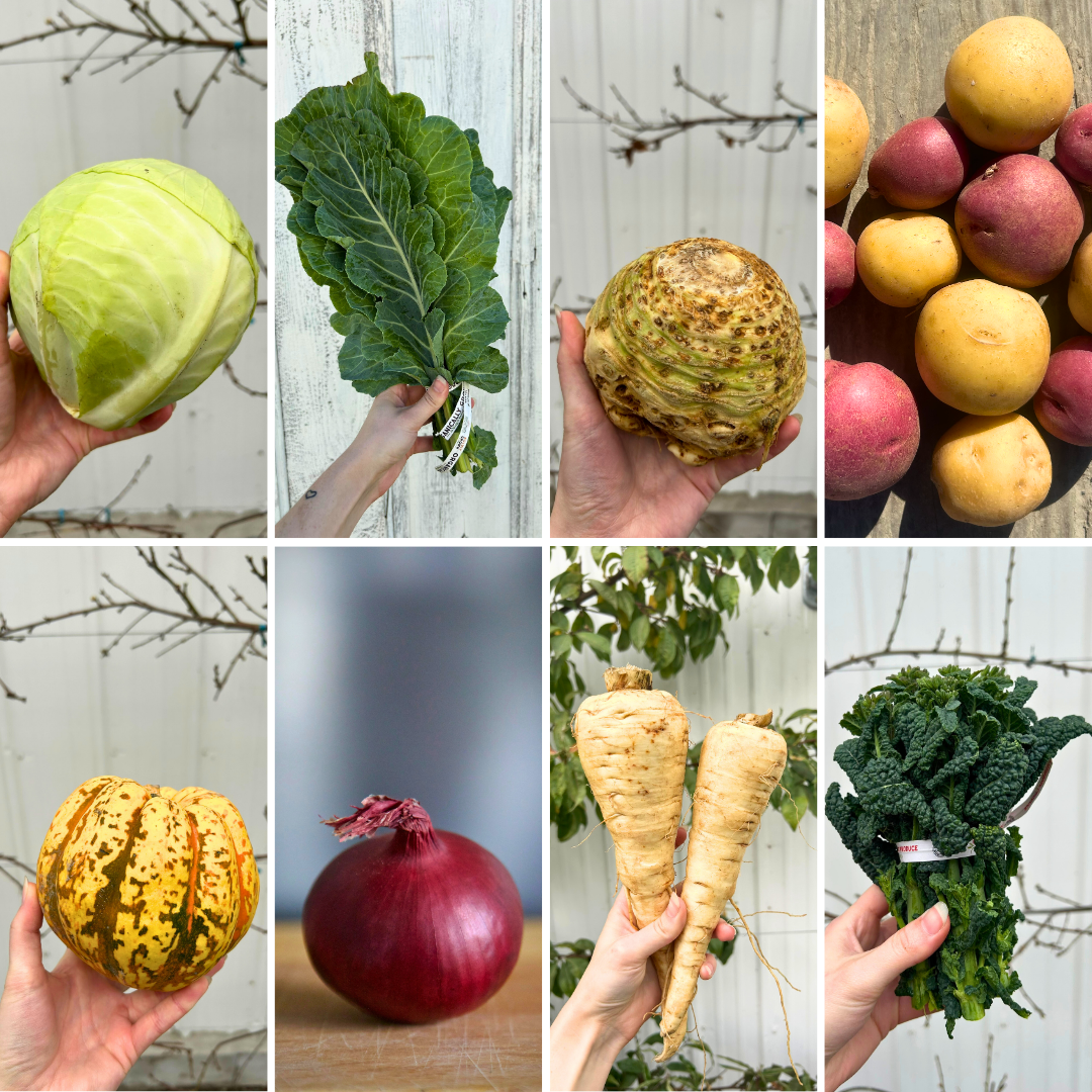 Week of February 23rd