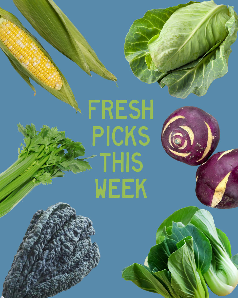 Week of August 3rd
