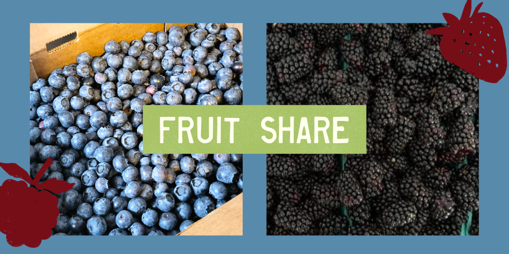 picture of marionberries and blueberries with the text "FRUIT SHARE"
