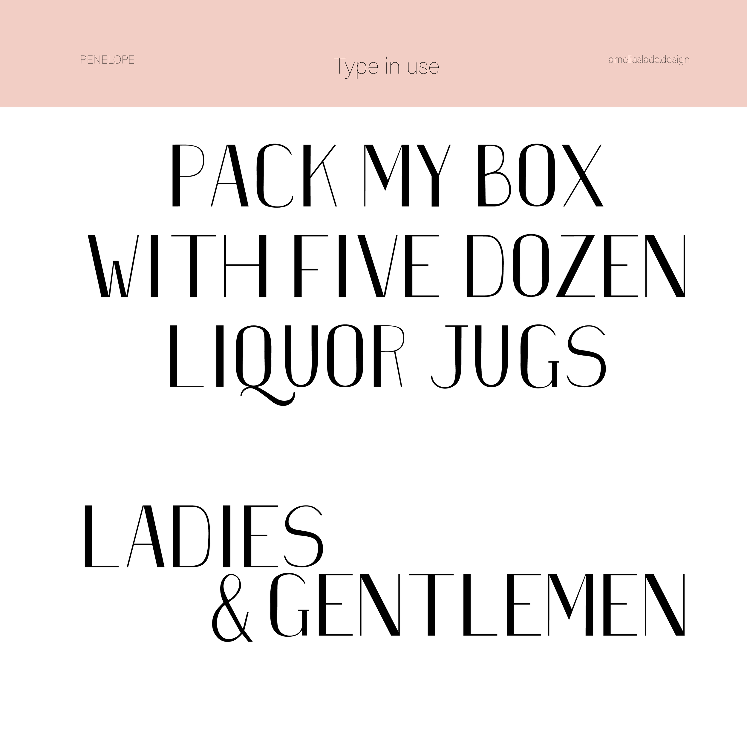 specimen square 22 edit5.png