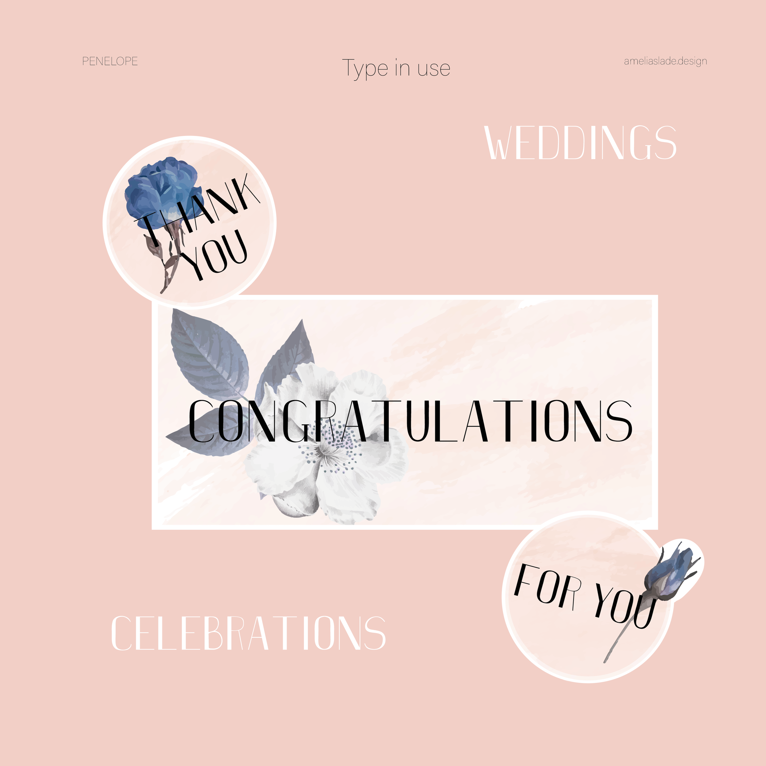 specimen square 22 edit7.png