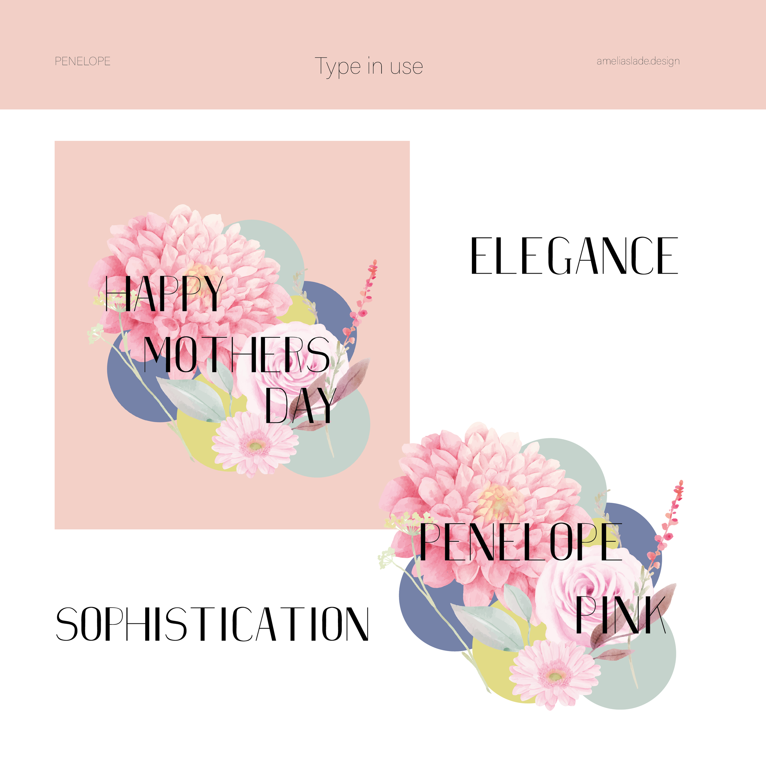 specimen square 22 edit8.png