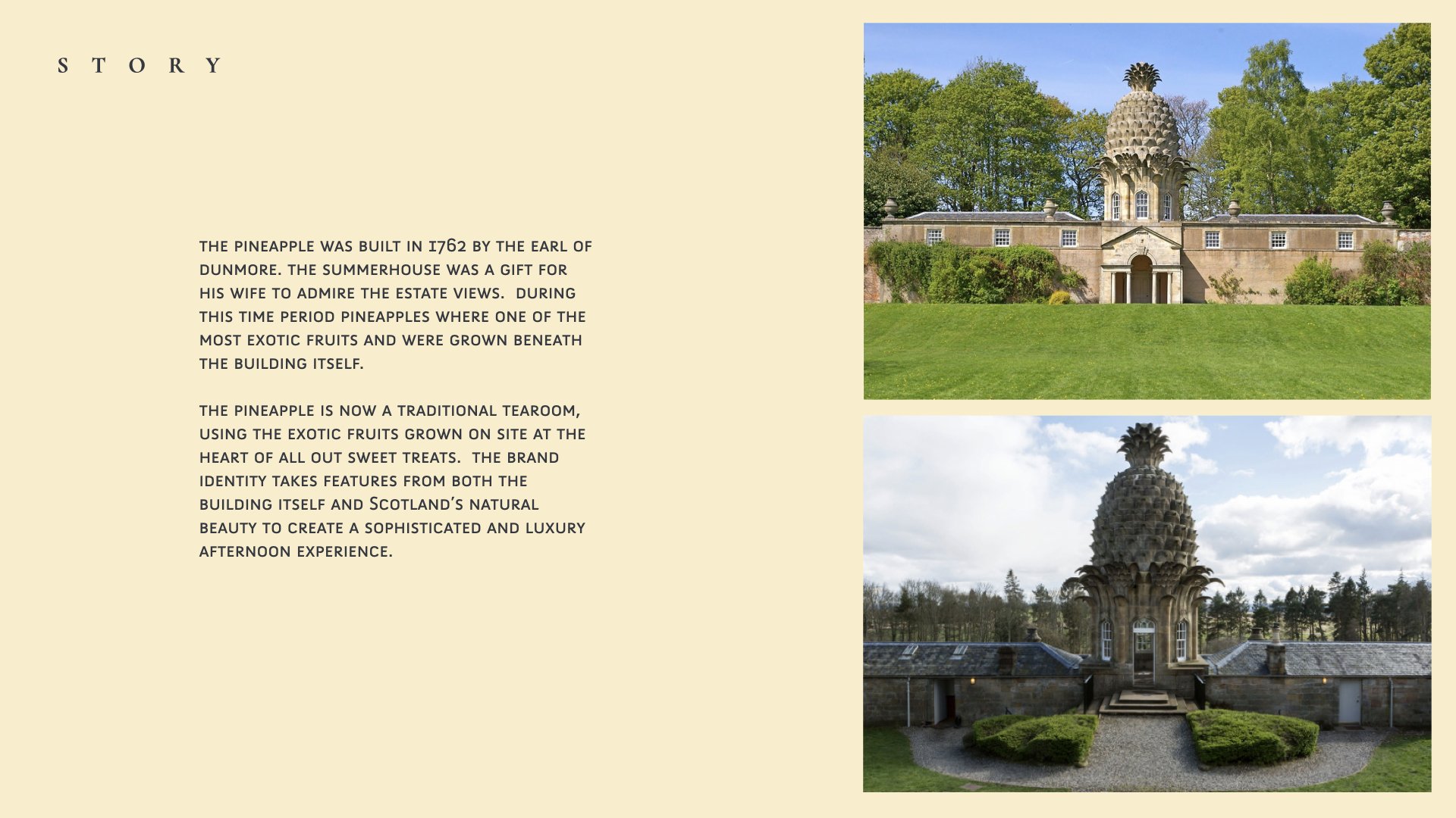 Pineapple identitiy presentation.002.jpeg