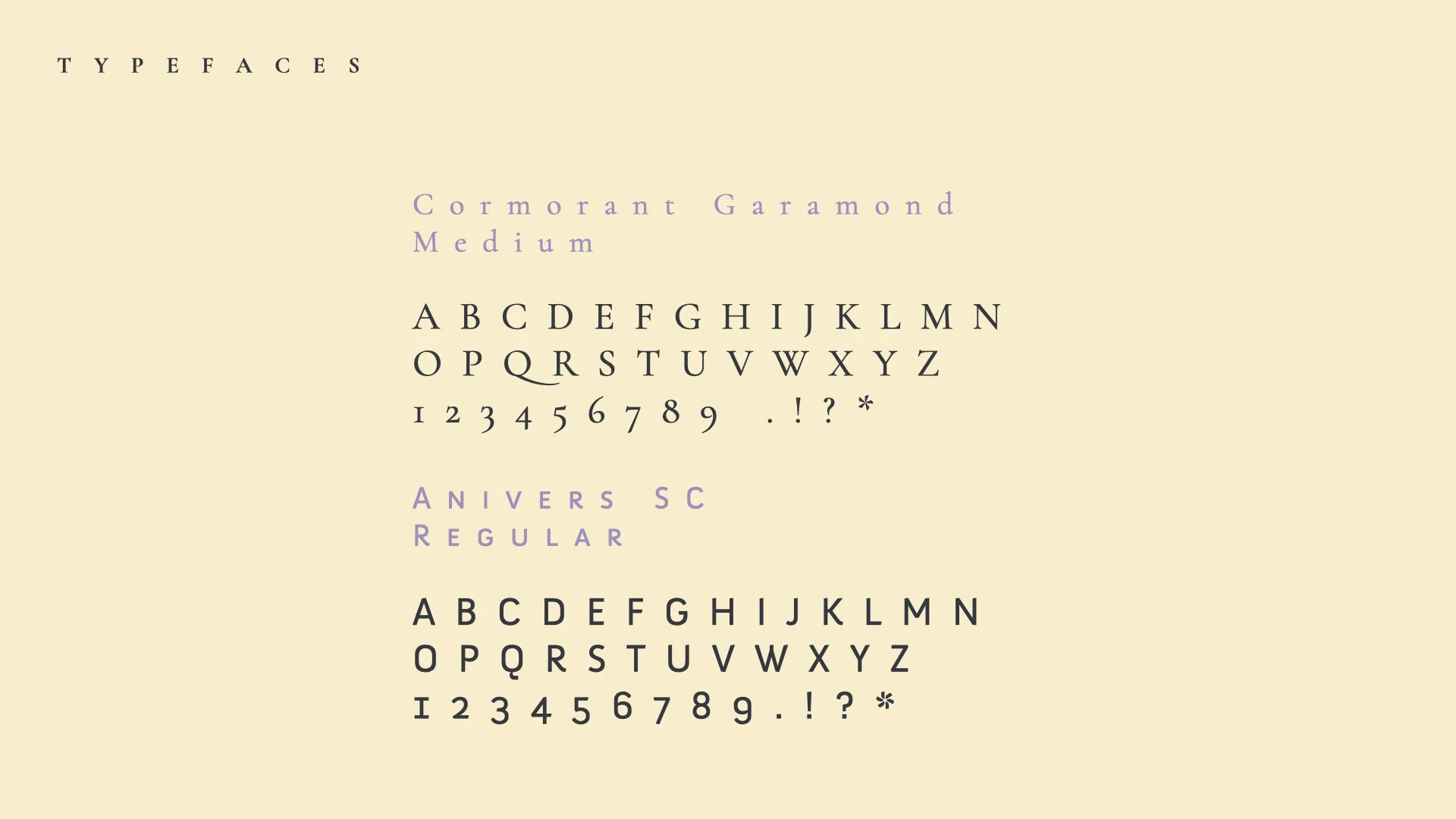 Pineapple identitiy presentation.007.jpeg