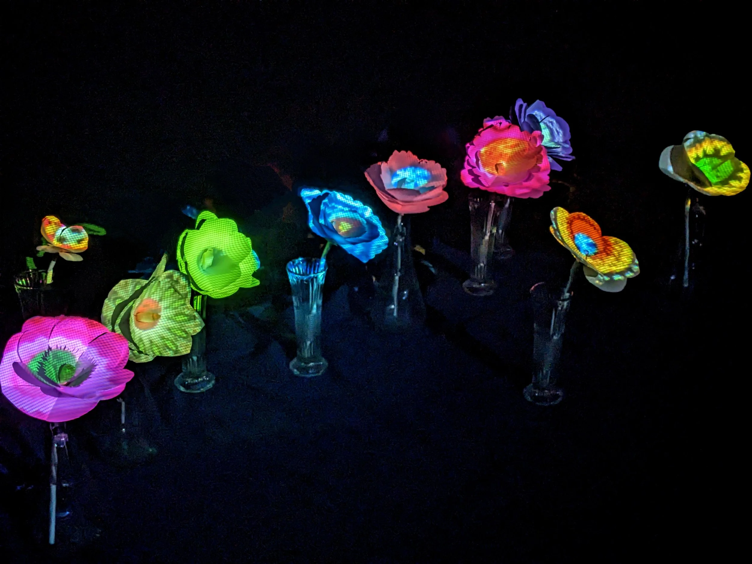 Hannah Whittaker: Bioluminescent Garden Workshop