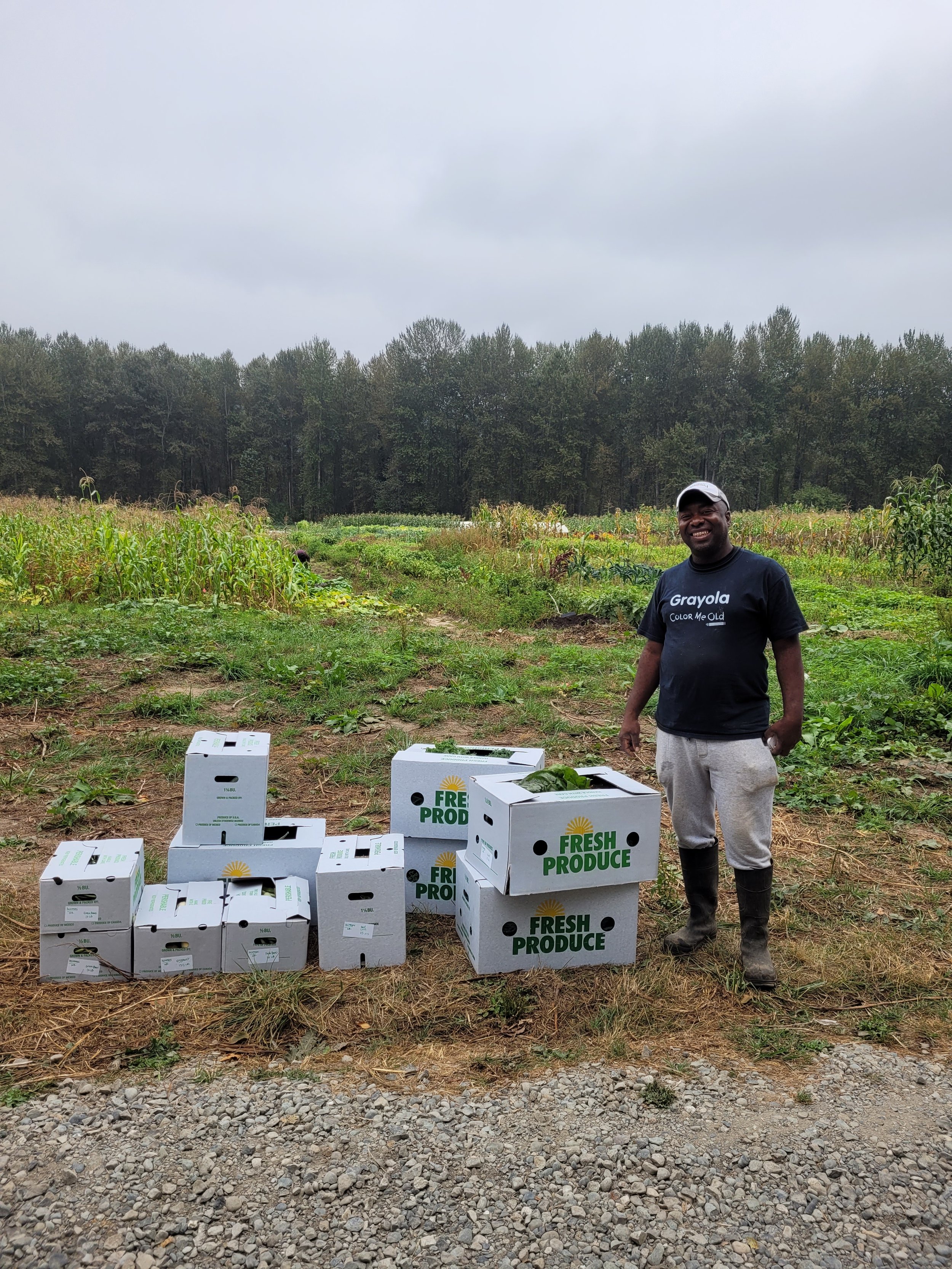 farmer standing in the field with boxes of produce