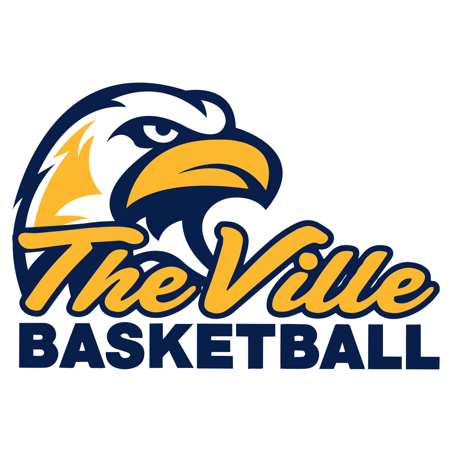 The Ville Basketball