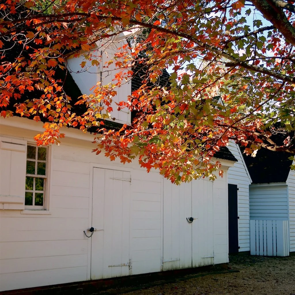 2. Colonial Williamsburg 1-01-21.jpg
