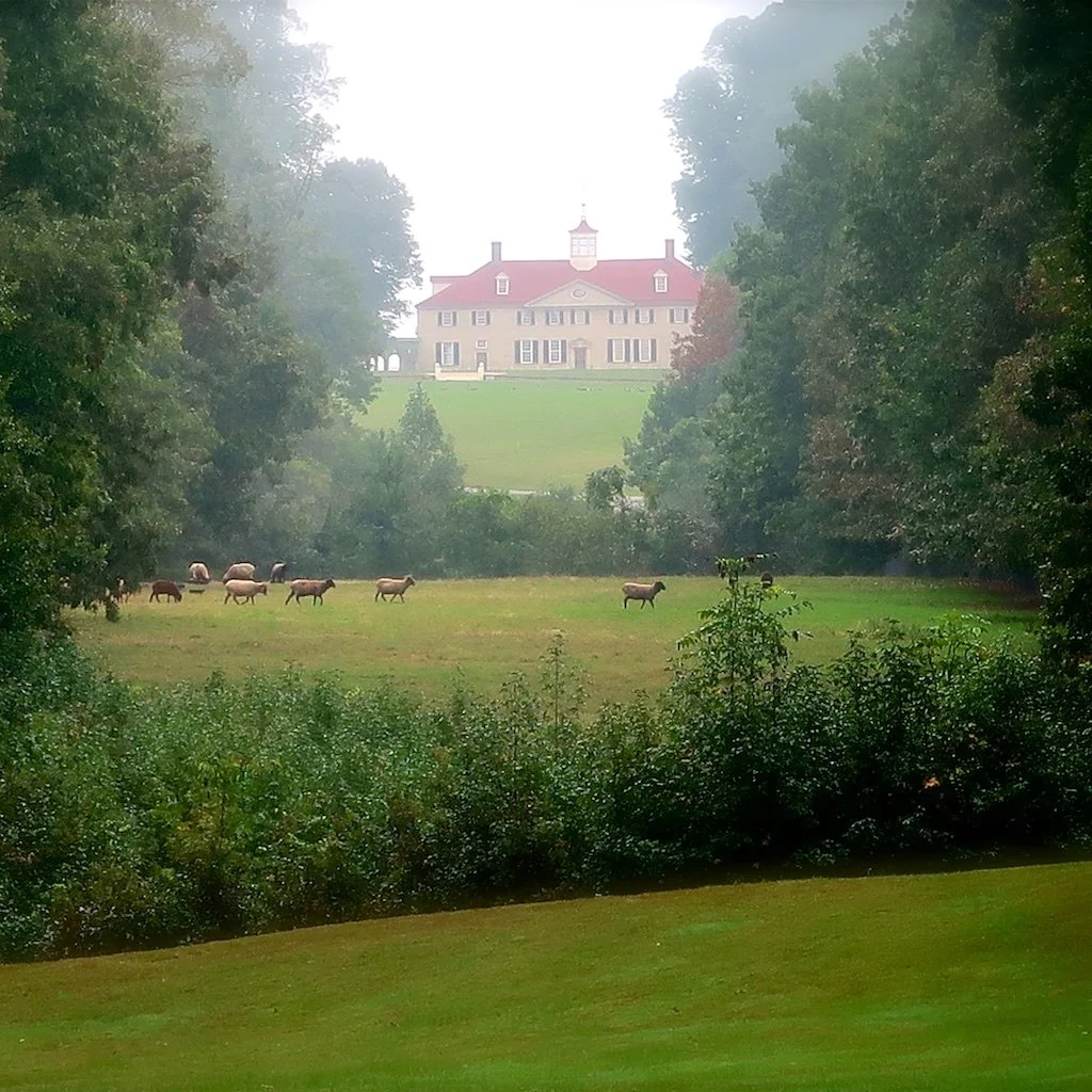 Mount Vernon - Curated for 1799 