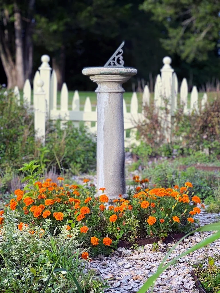 Montpelier is surrounded by lush evergreens and 200-year-old boxwoods, including a picket-fenced colonial revival herb and flower garden.