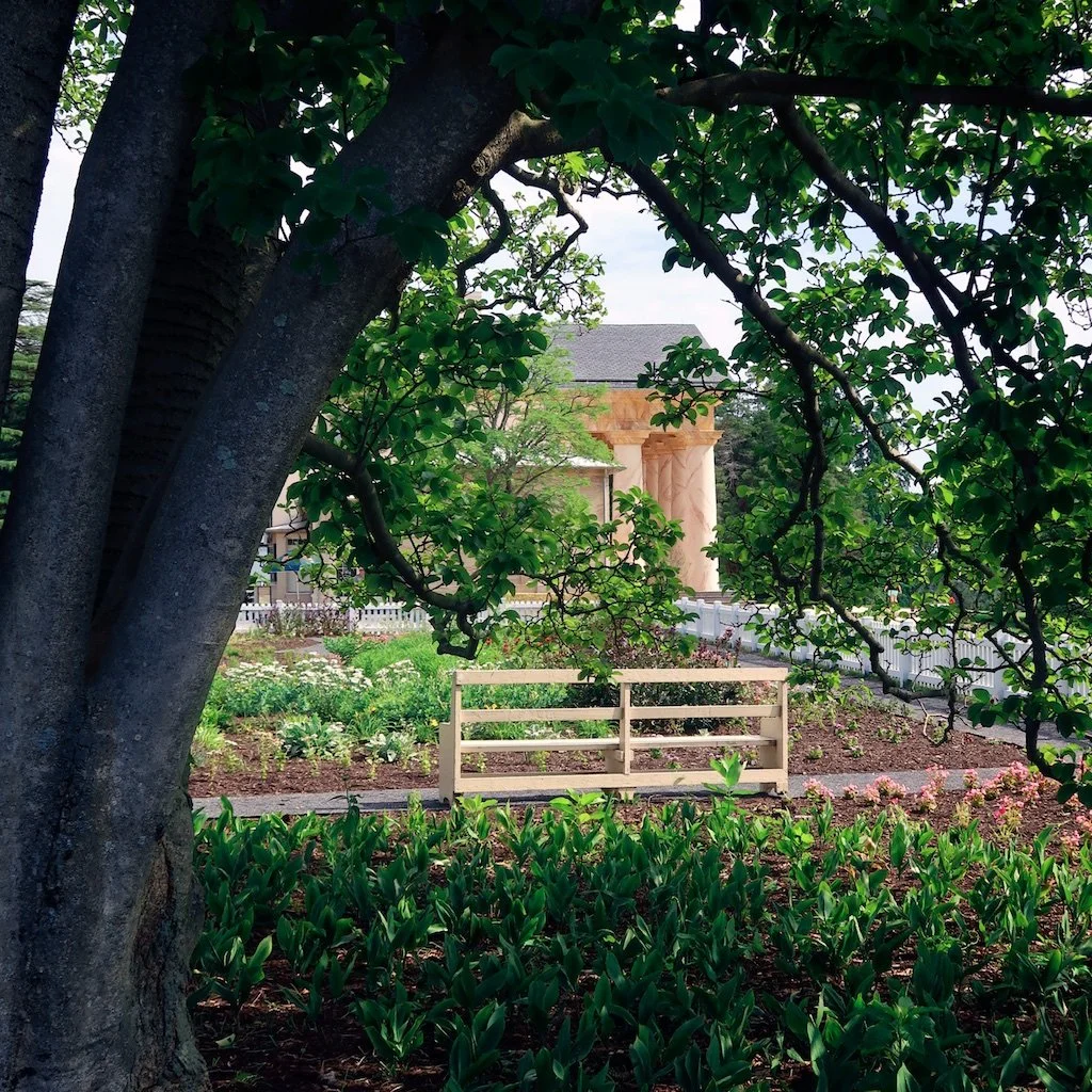 Arlington House - From the garden looking to the front portico