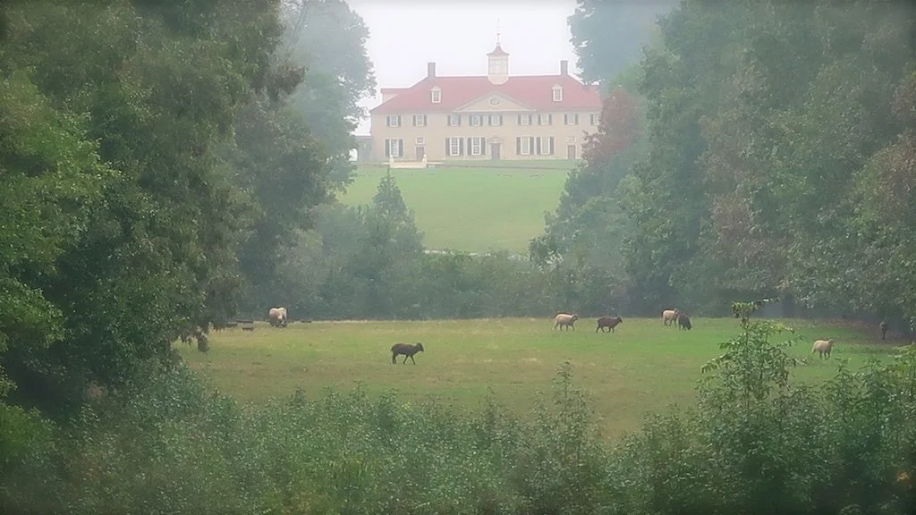 West Gate: View from the 18th century visitor's approach to Mount Vernon.