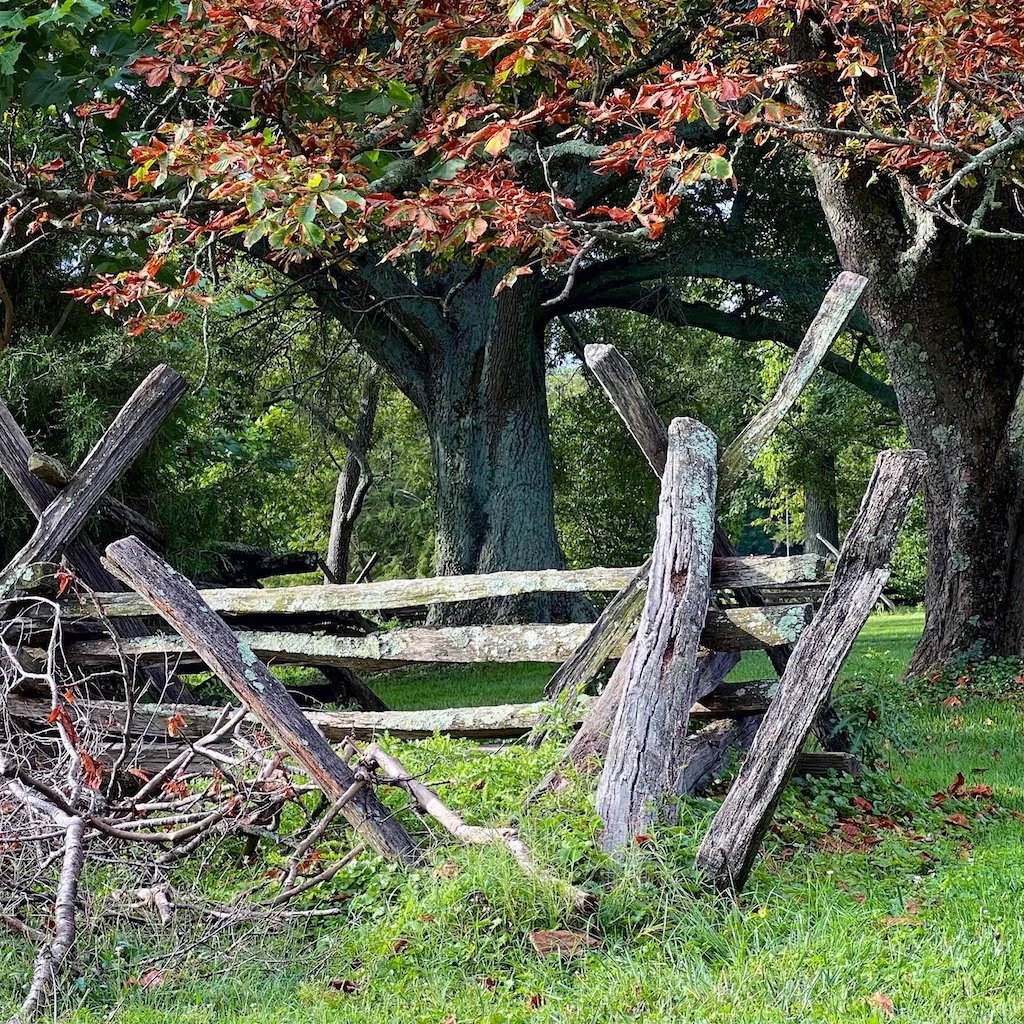 Part of the experience of Montpelier is the large expanse of 70 acres creating a setting that conveys the experience of past and present - an oasis of tranquility.

