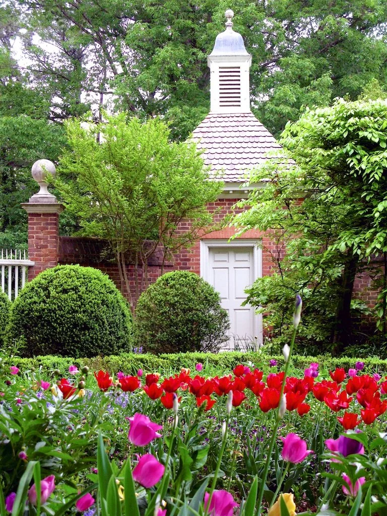 The gardens at the Governor's Palace draw influence from Dutch gardens in Holland blended with English garden fashion. They make extensive use of clipped hedges and rectangular parterres.