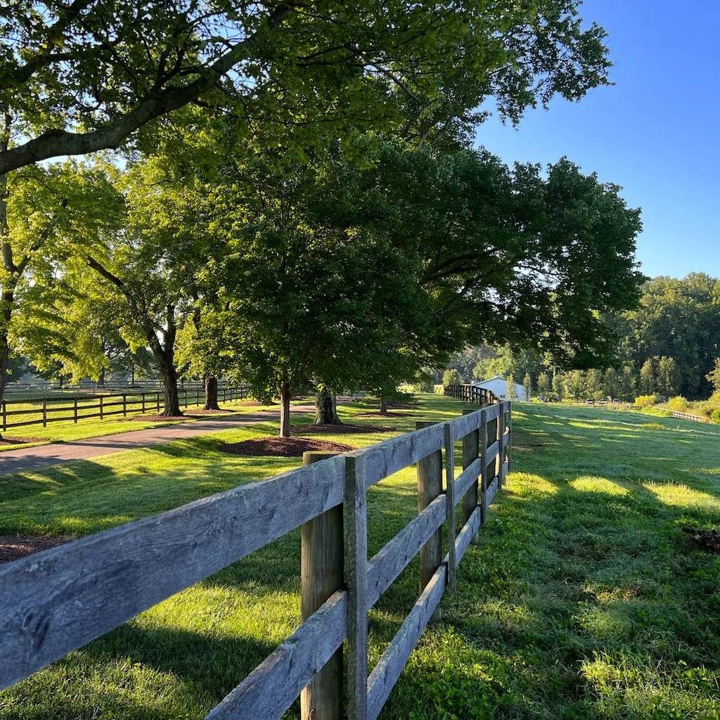 Maryland Therapeutic Riding_2023