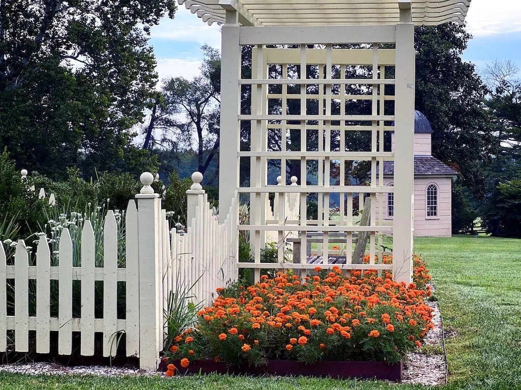 The Montpelier gardens include the original 18th-century summerhouse and over 70 acres of fields and wooded paths.