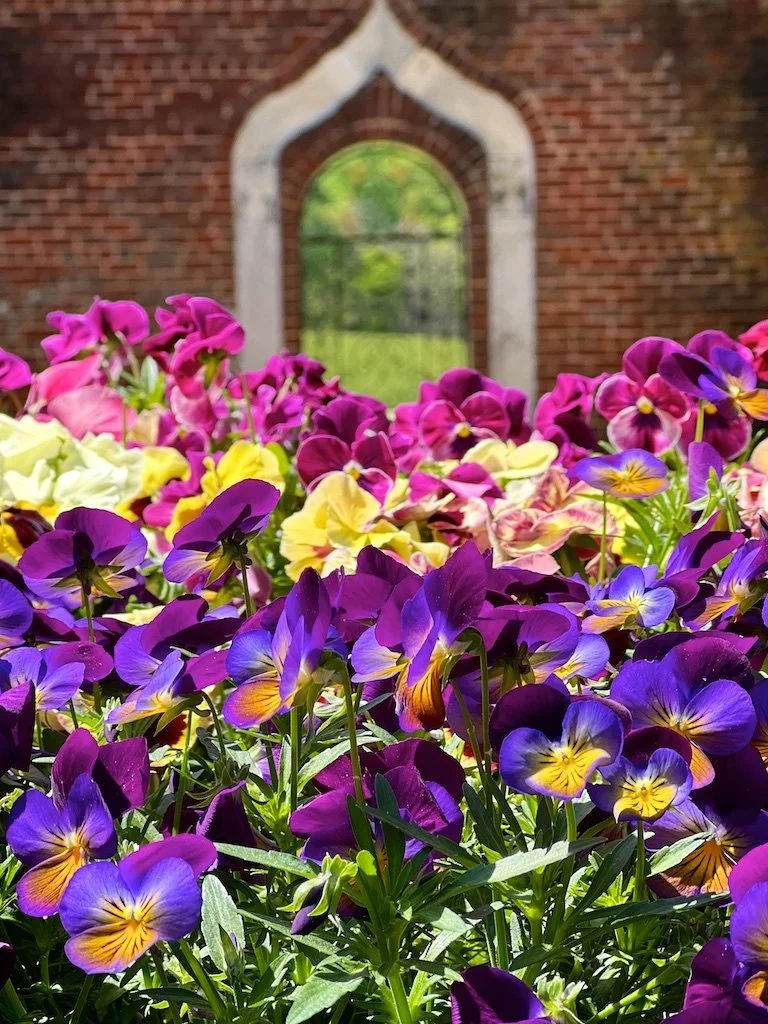 The estate was purchased by the duPont family in 1901 and Annie du Pont restored the terraces and added brick walls, iron gates and statuary. 