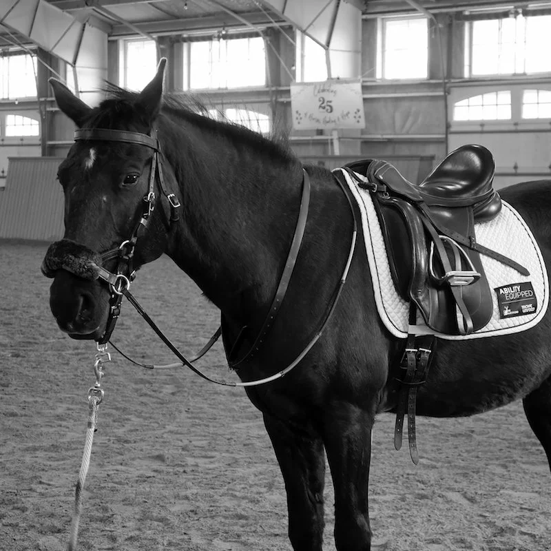 Maryland Therapeutic Riding_2022