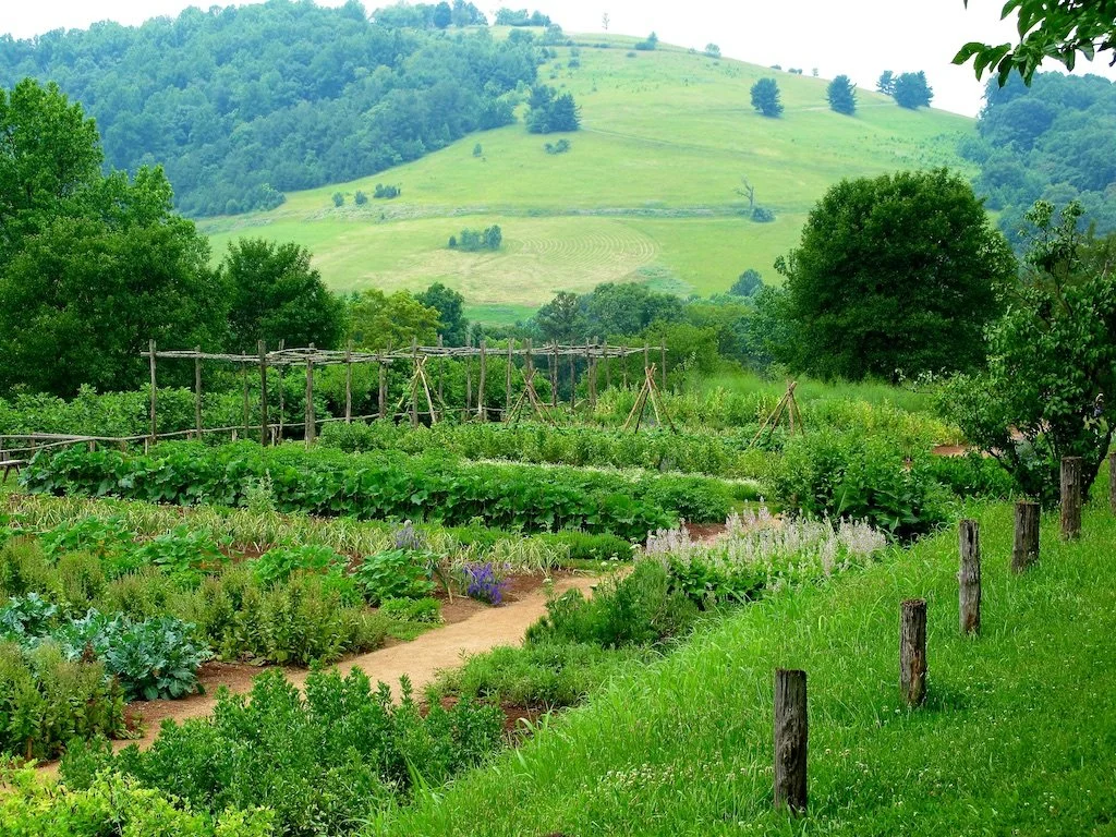 Monticello Gardens: The 1,000-foot-long terrace, or garden plateau, was literally hewed from the side of the mountain with slave labor, and it was supported by a massive stone wall that stood over twelve feet in its highest section.
