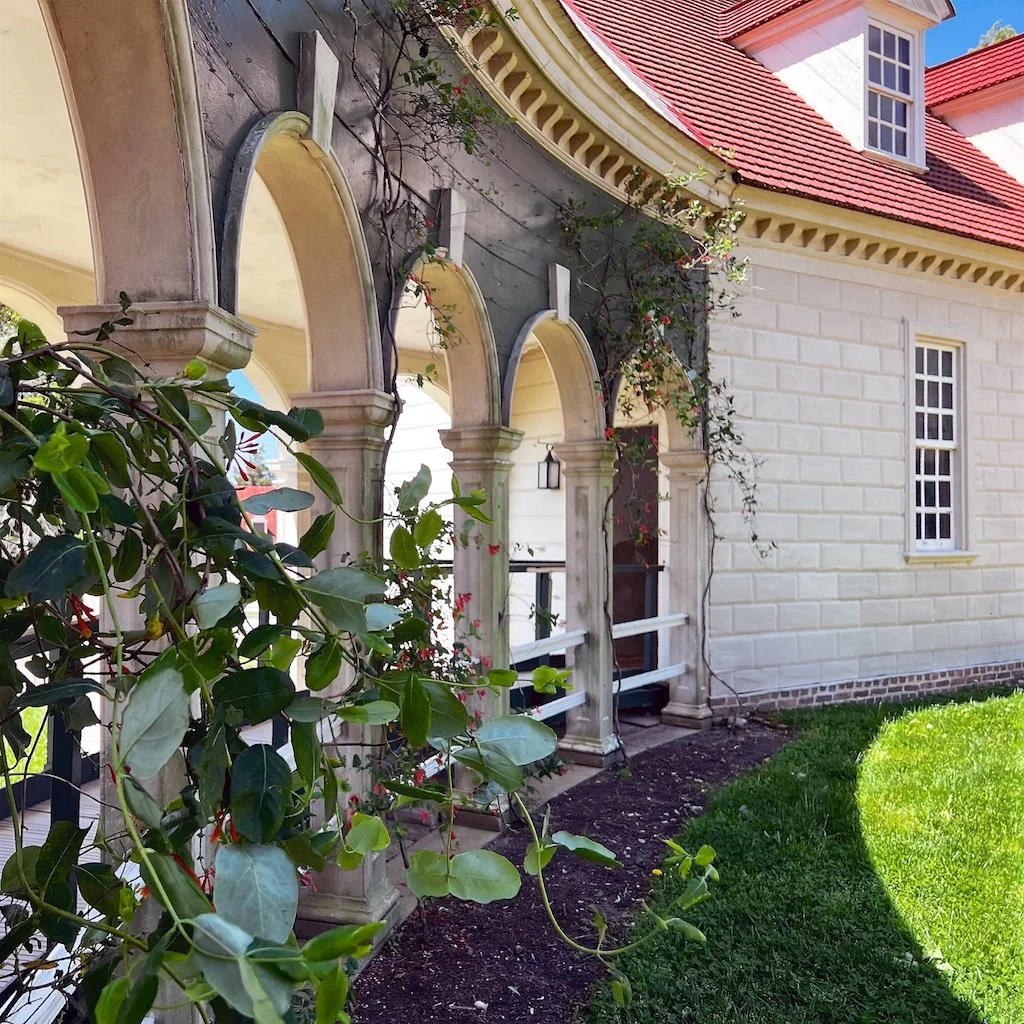 Rustication: A manner of treating the exterior of a wooden building to make it appear as if it is made of stone. The effect is achieved by cutting and beveling the wooden siding boards (at Mount Vernon, the boards are made of pine) at regular interva