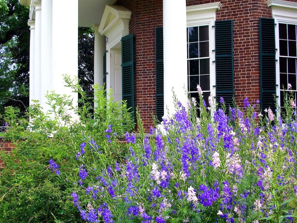 Flower Gardens: Monticello was a botanic laboratory of ornamental and useful plants from around the world.