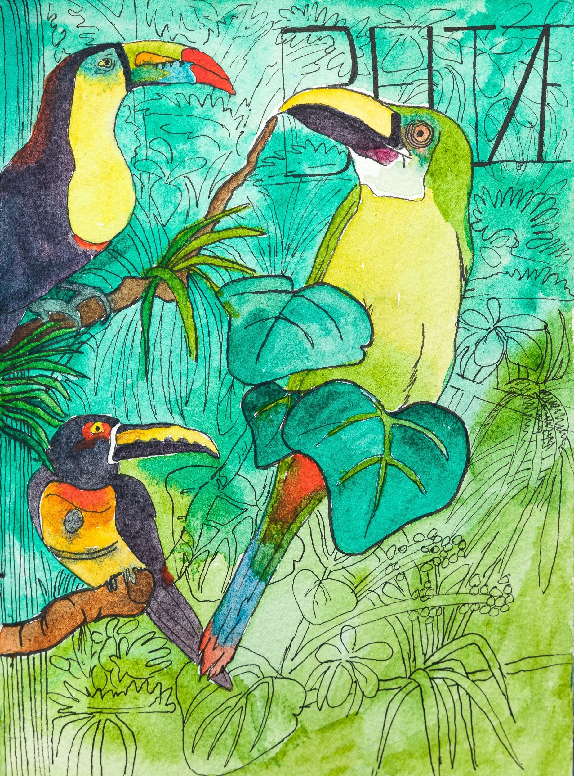 Birds of Belize II