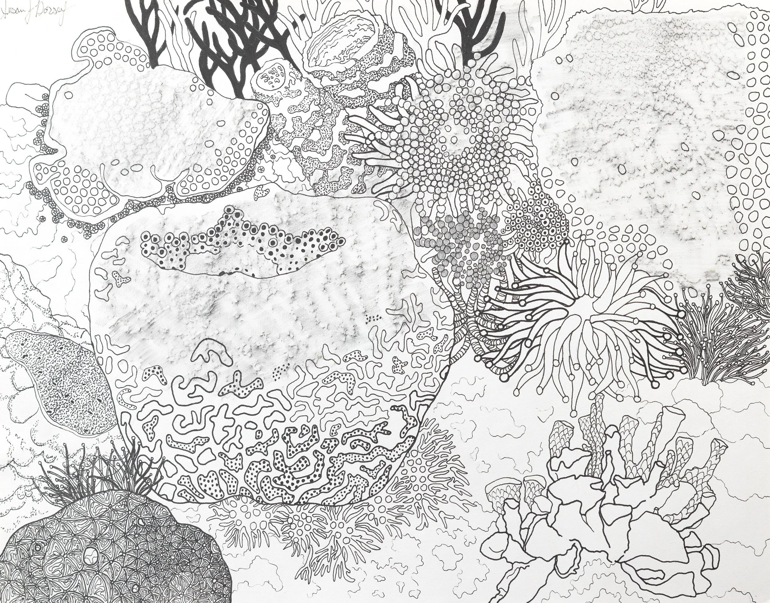 Coral Memories II 14” X 11”