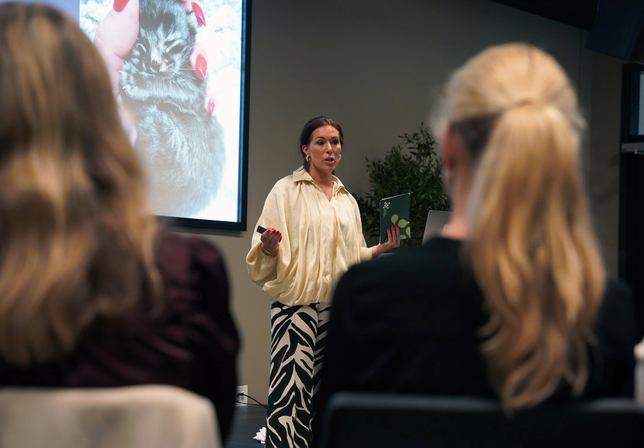 Foto: Håkon Repstad/Næringsforeningen i Kristiansandsregionen. Fra et foredrag for WiB om hvordan katten min ble sett av 25 millioner.