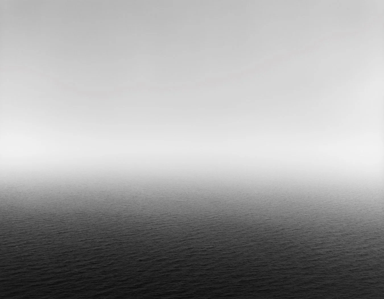 sugi_seascape.jpg