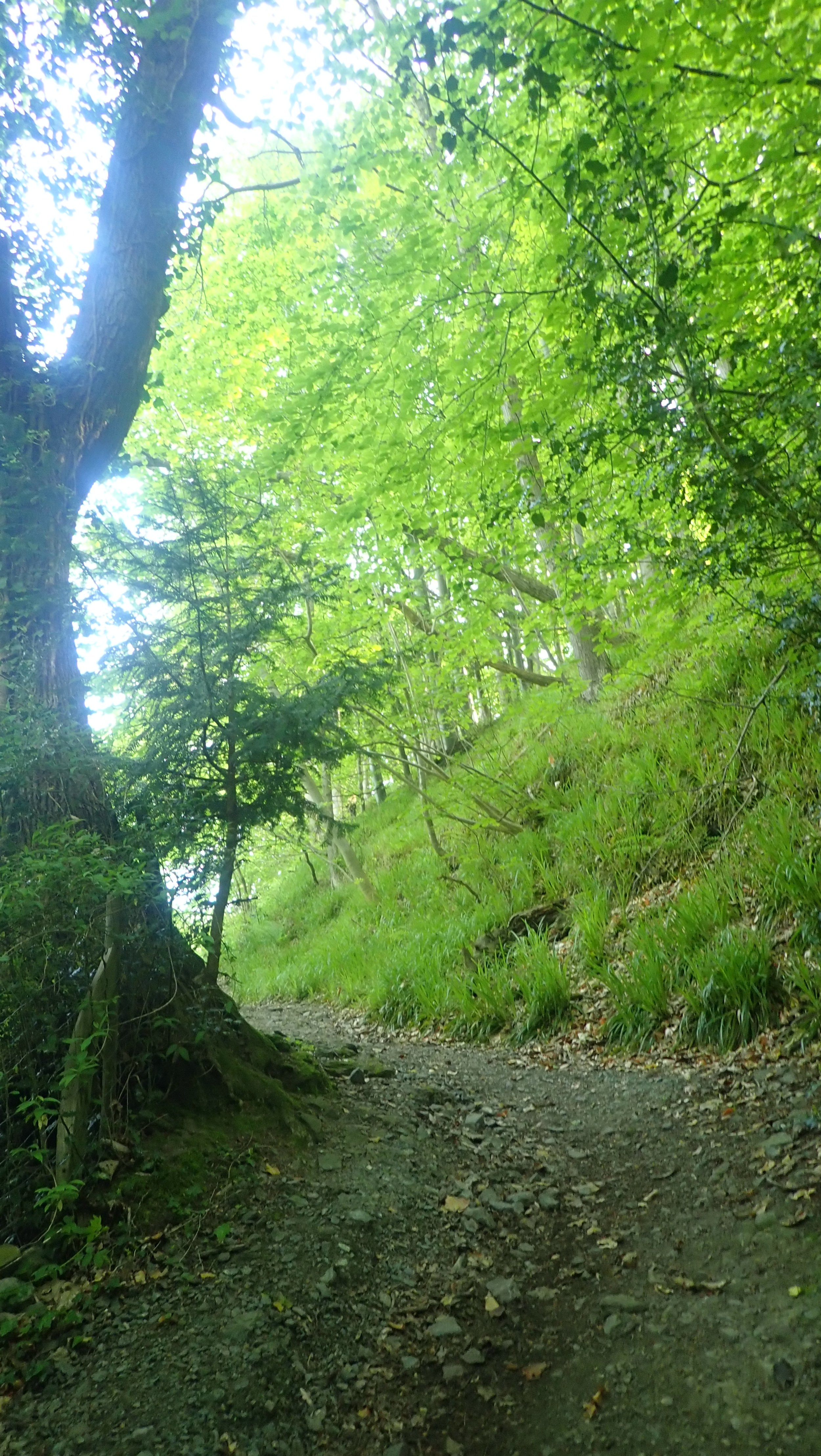 P5211593.JPG