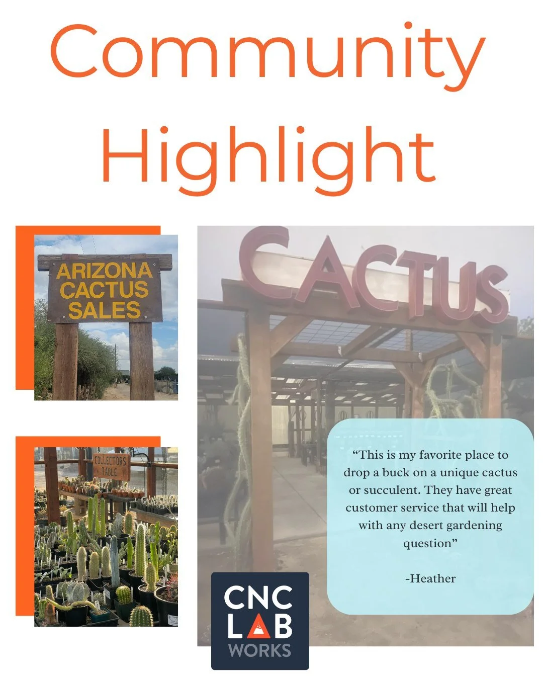 Continuing with our Small Business Week shout outs, we have Heather's pick: Arizona Cactus Sales- https://share.google/KPoLfnnzQeNNKNP
They have a wide selection of common to rare cactus at unbeatable prices. They are locally owned and operated  by a