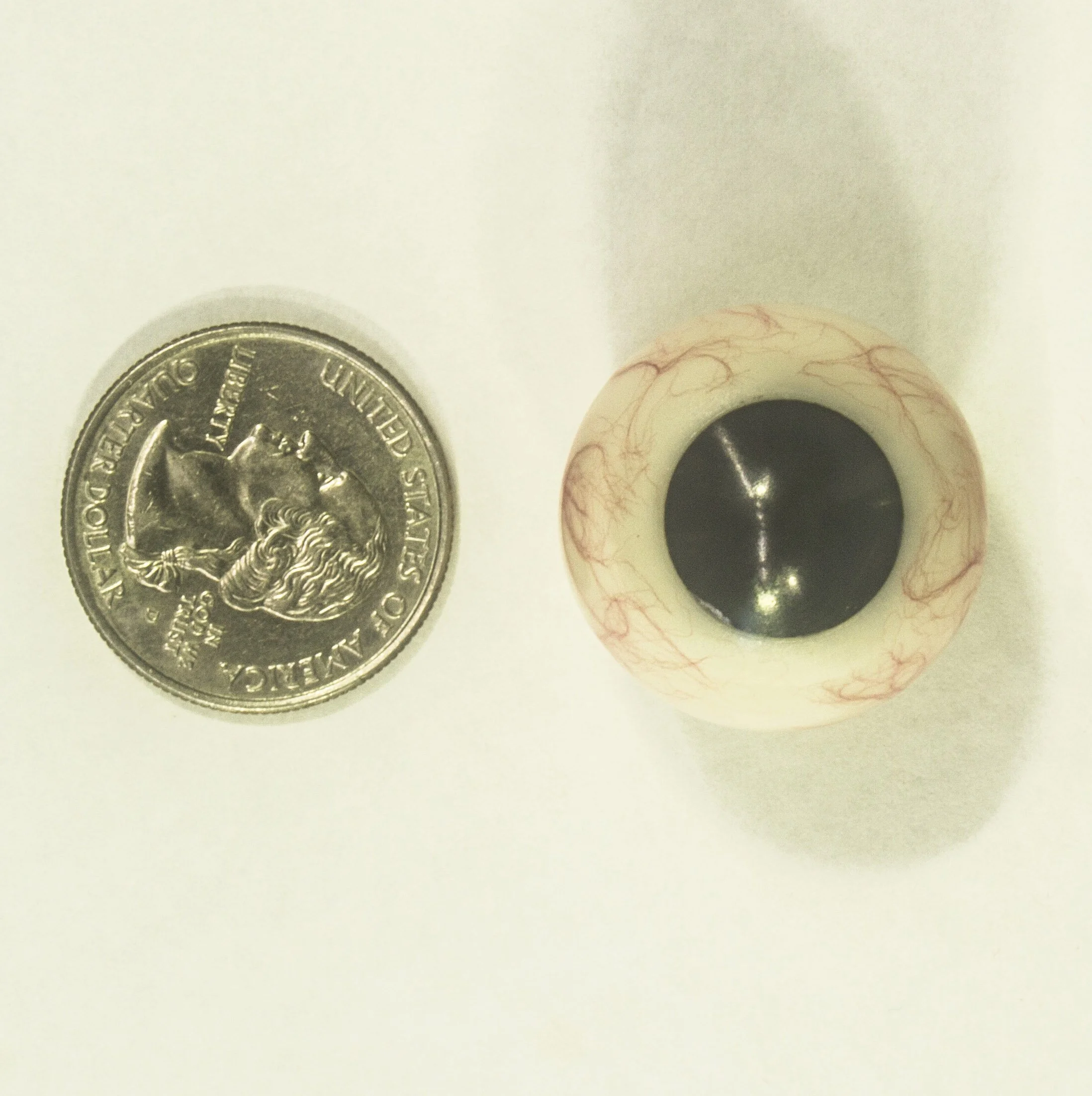 Solid Black Iris Size.jpg