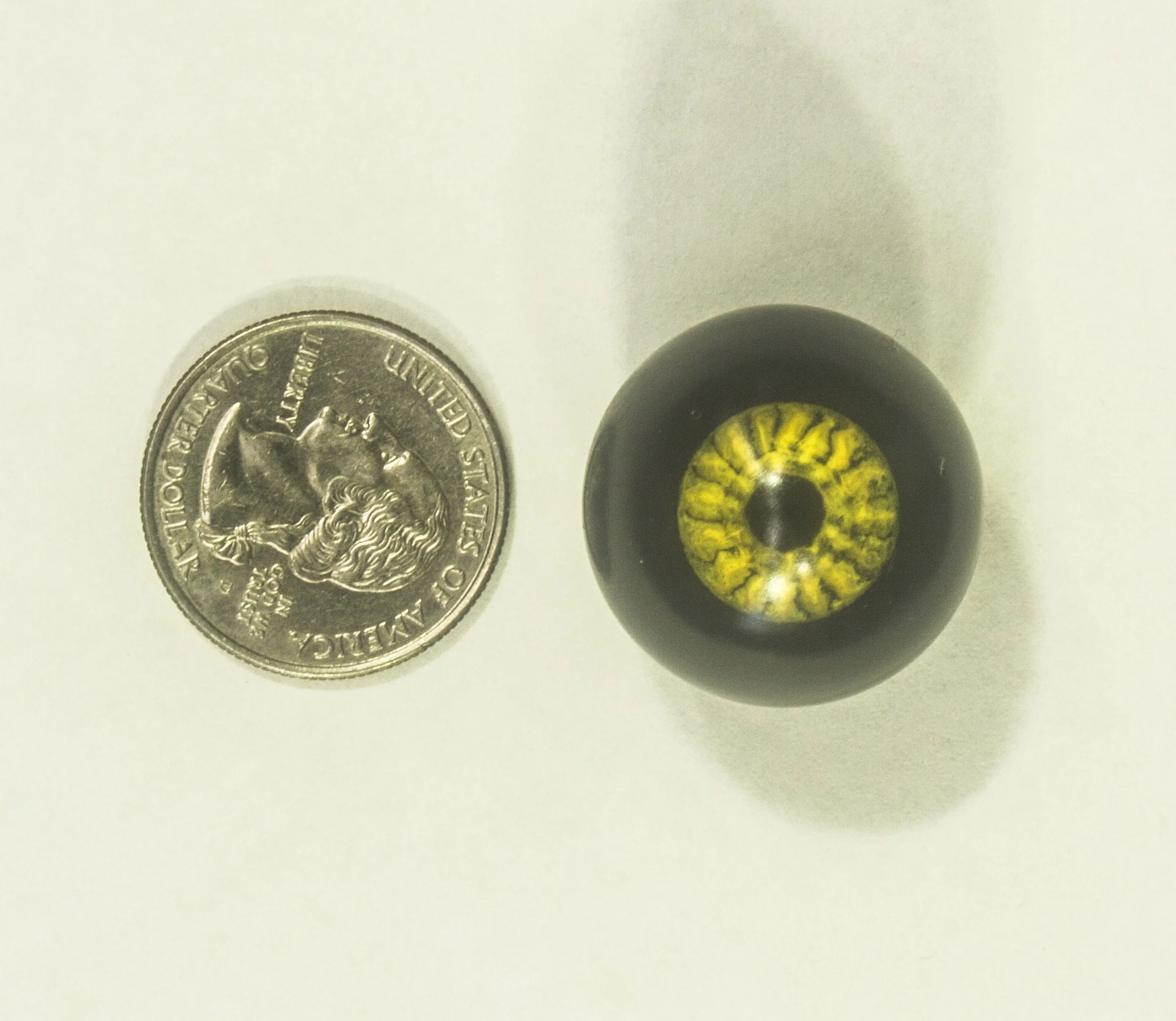 Black and Yellow Size.jpg