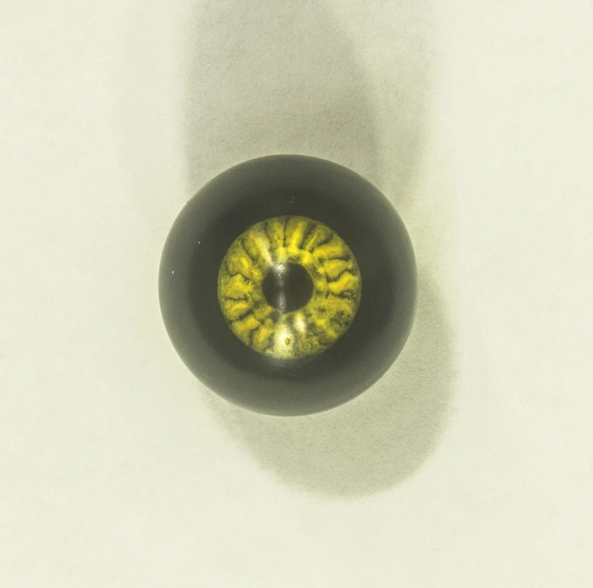 Black and Yellow.jpg