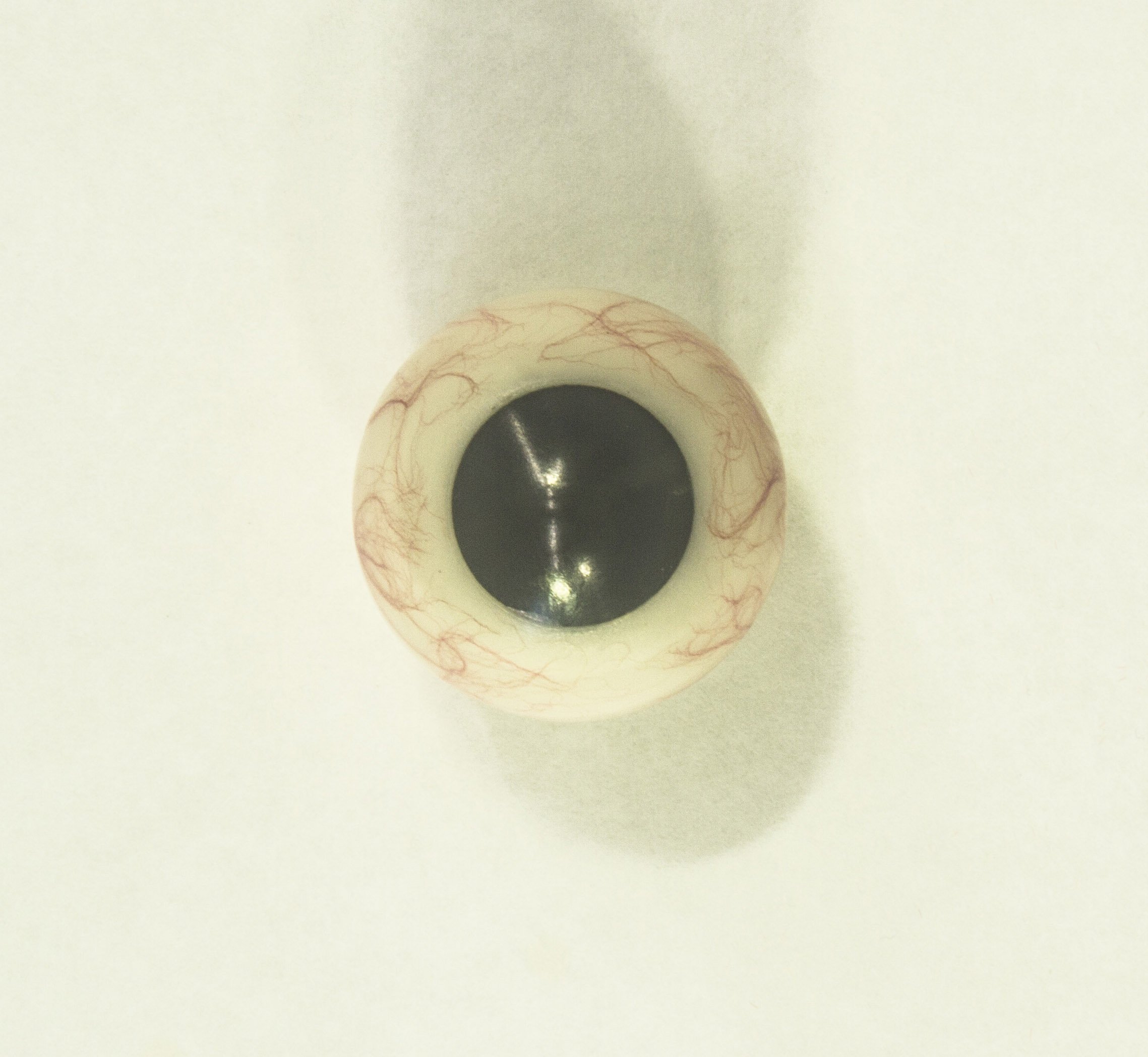 Solid Black Iris.jpg