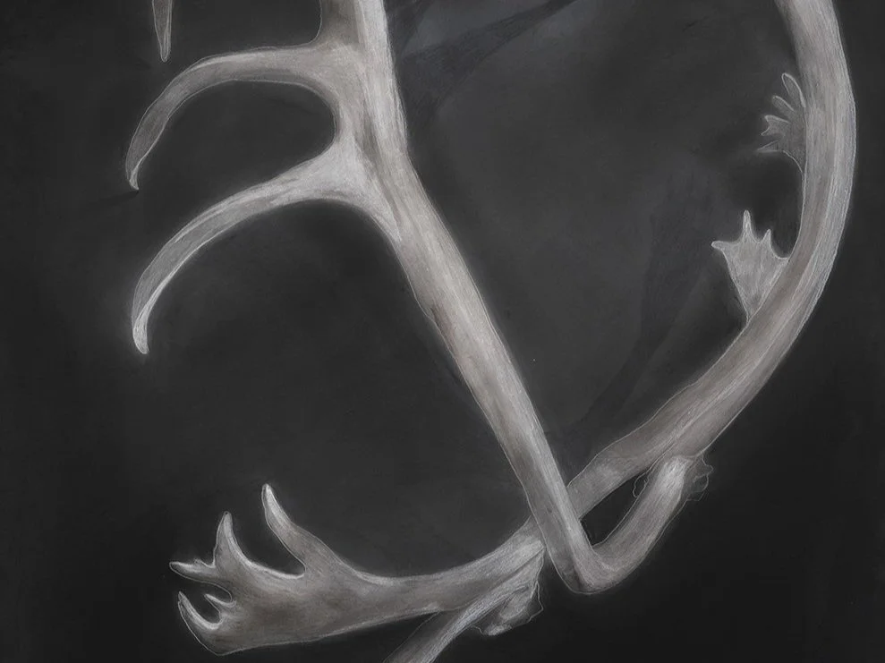 Arching+Portal+copy.jpg