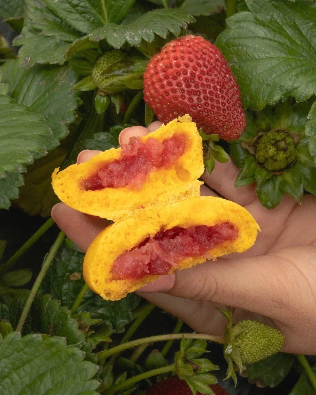 We only offer the berry best for our moms! 🥰 Join us now through Mother's Day and order our limited edition care buns, filled with fresh strawberry jelly 🍓

.
.
.
#baobuns #bao #steamedbuns #characterfood #kawaiifood #cutefood #steambuns #dimsum #b