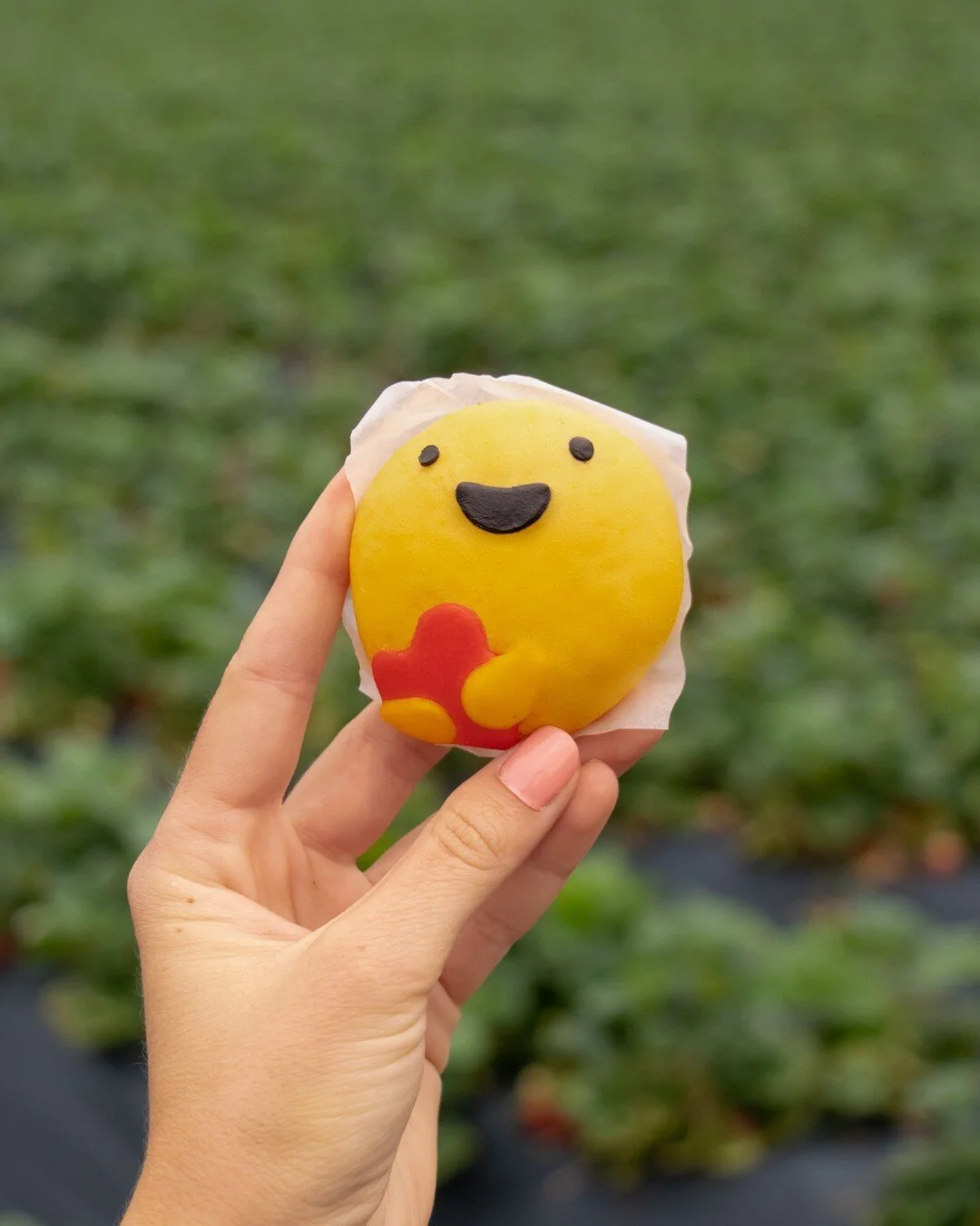 Don't be jelly, be mom's favorite this mother's day. 😍 Give the gift of our care buns! Filled with love and of course, strawberry jelly. 🤤🍓
.
.
.
#baobuns #bao #steamedbuns #characterfood #kawaiifood #cutefood #steambuns #dimsum #baobunsfordays #j