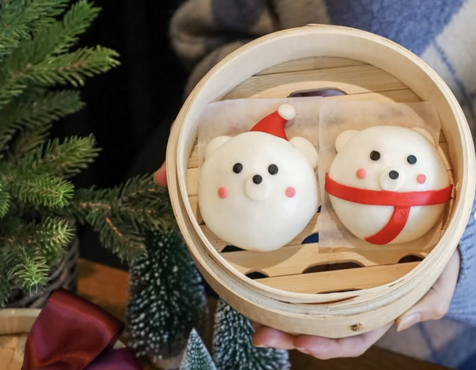 CHRISTMAS WITH POLAR BEAR BUN!