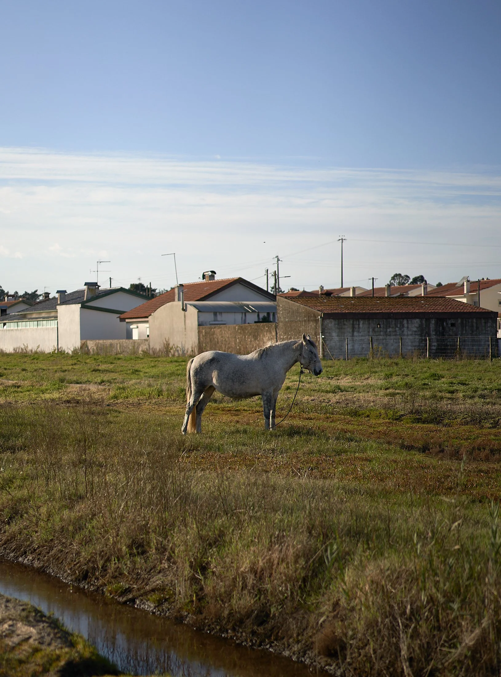 SA-Aveiro-24-12-12-a9_5690.jpg