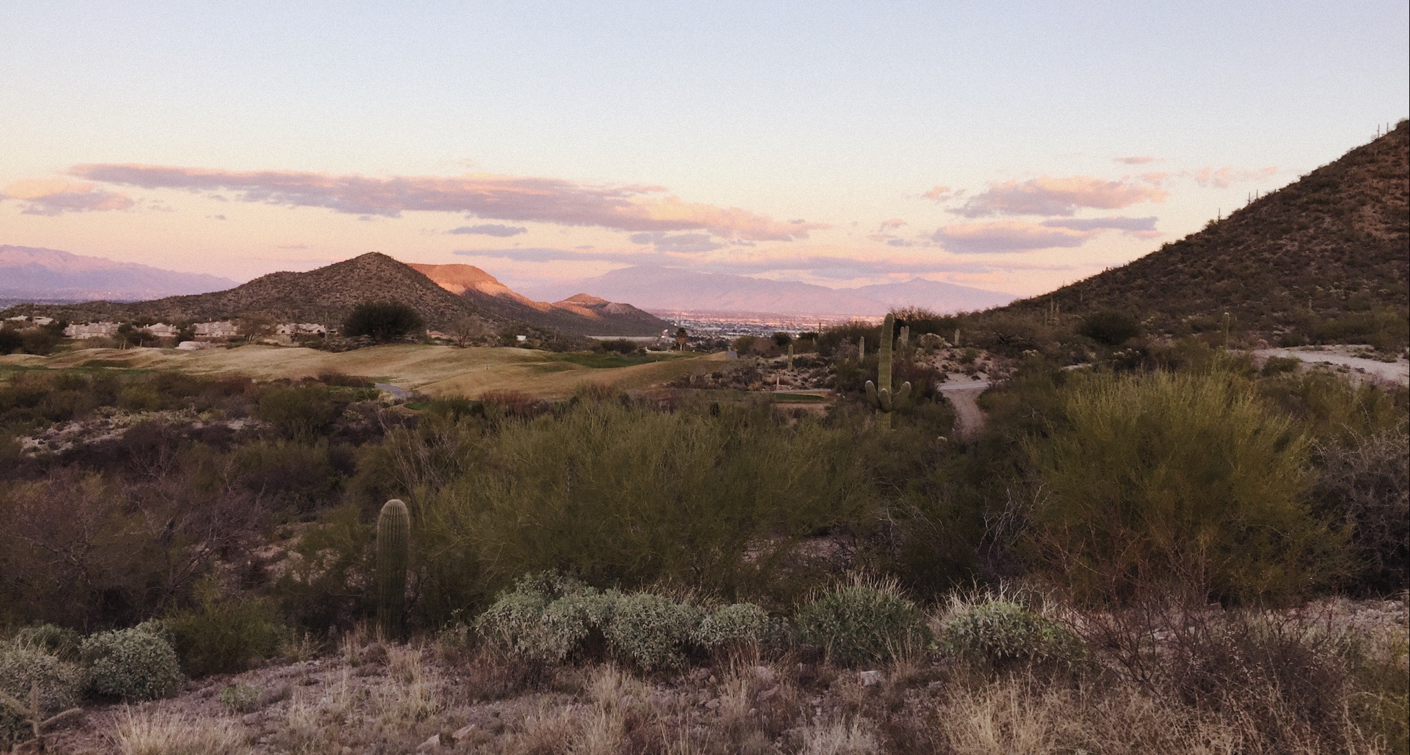 2015-02-16 18.03.32 desert.jpg