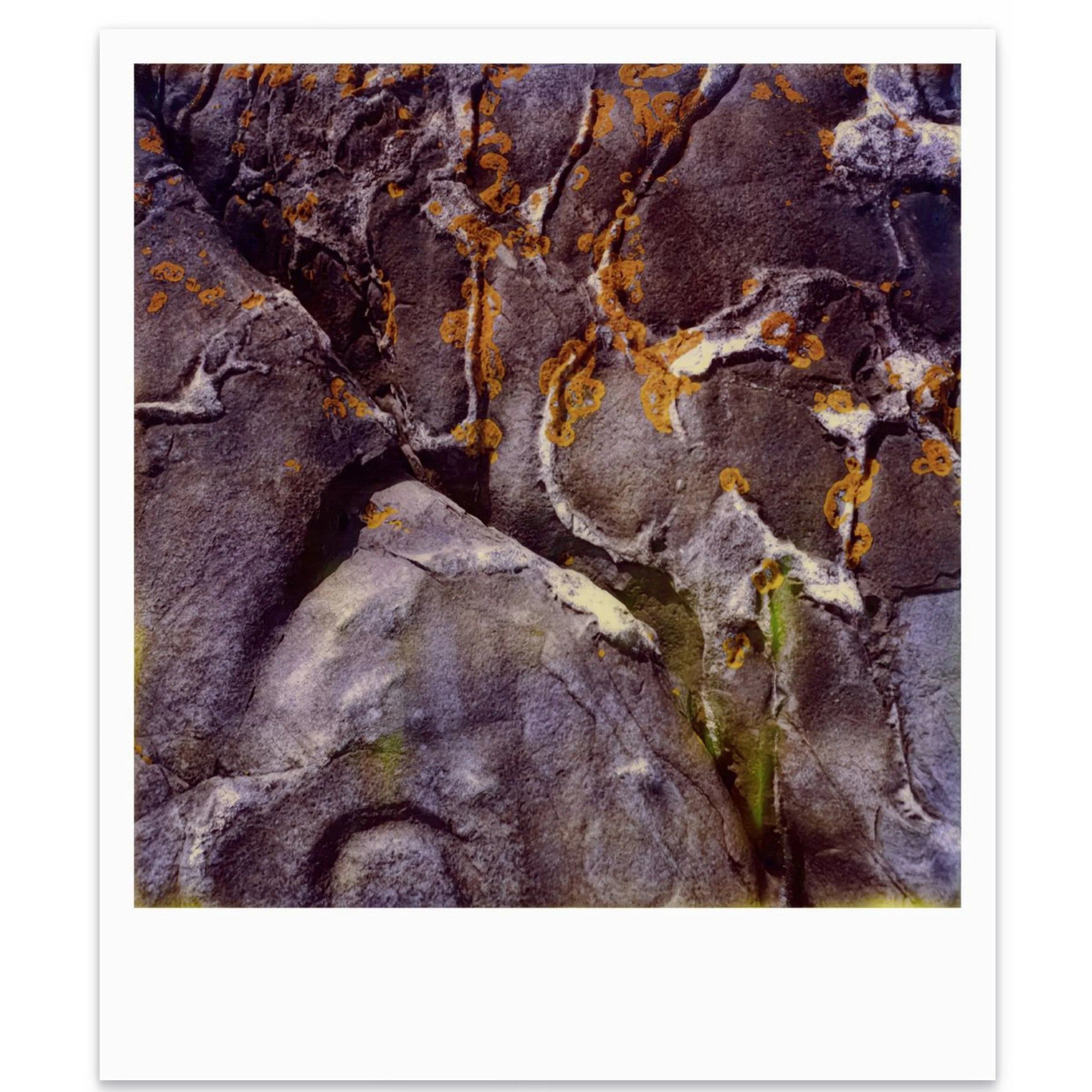  Untitled 30x36 inches | 1989  