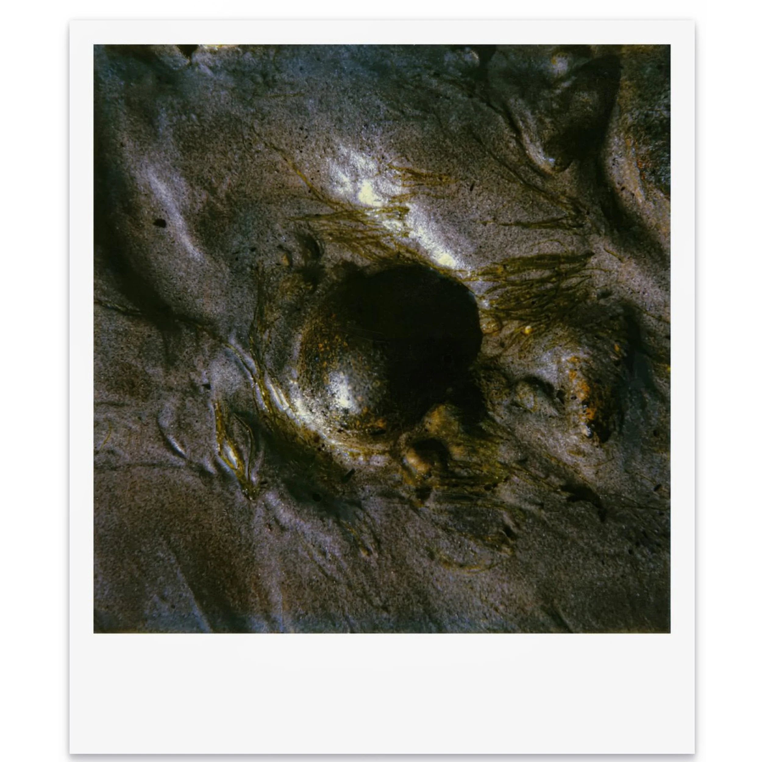  Untitled 30x36 inches | 1989  