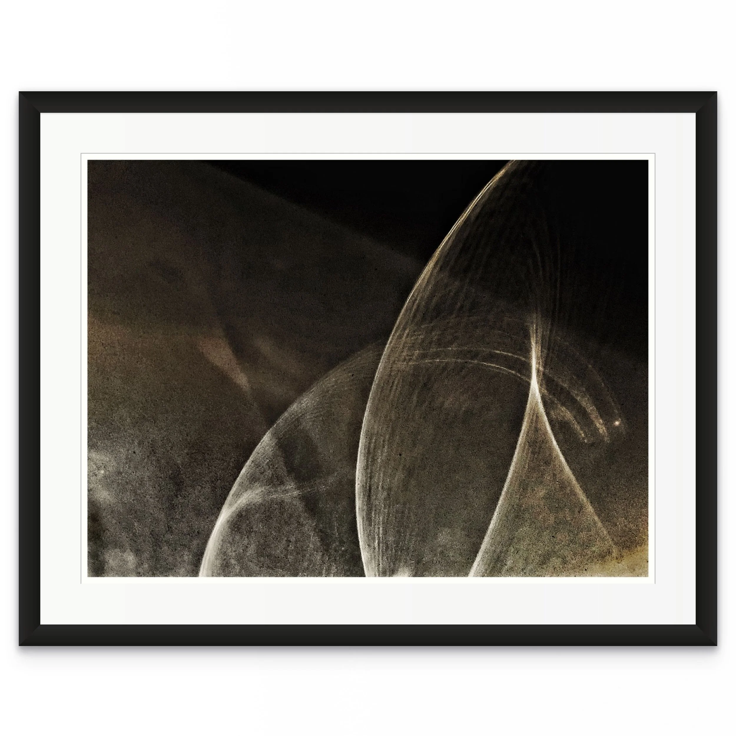 From the Series Attracted to the Light