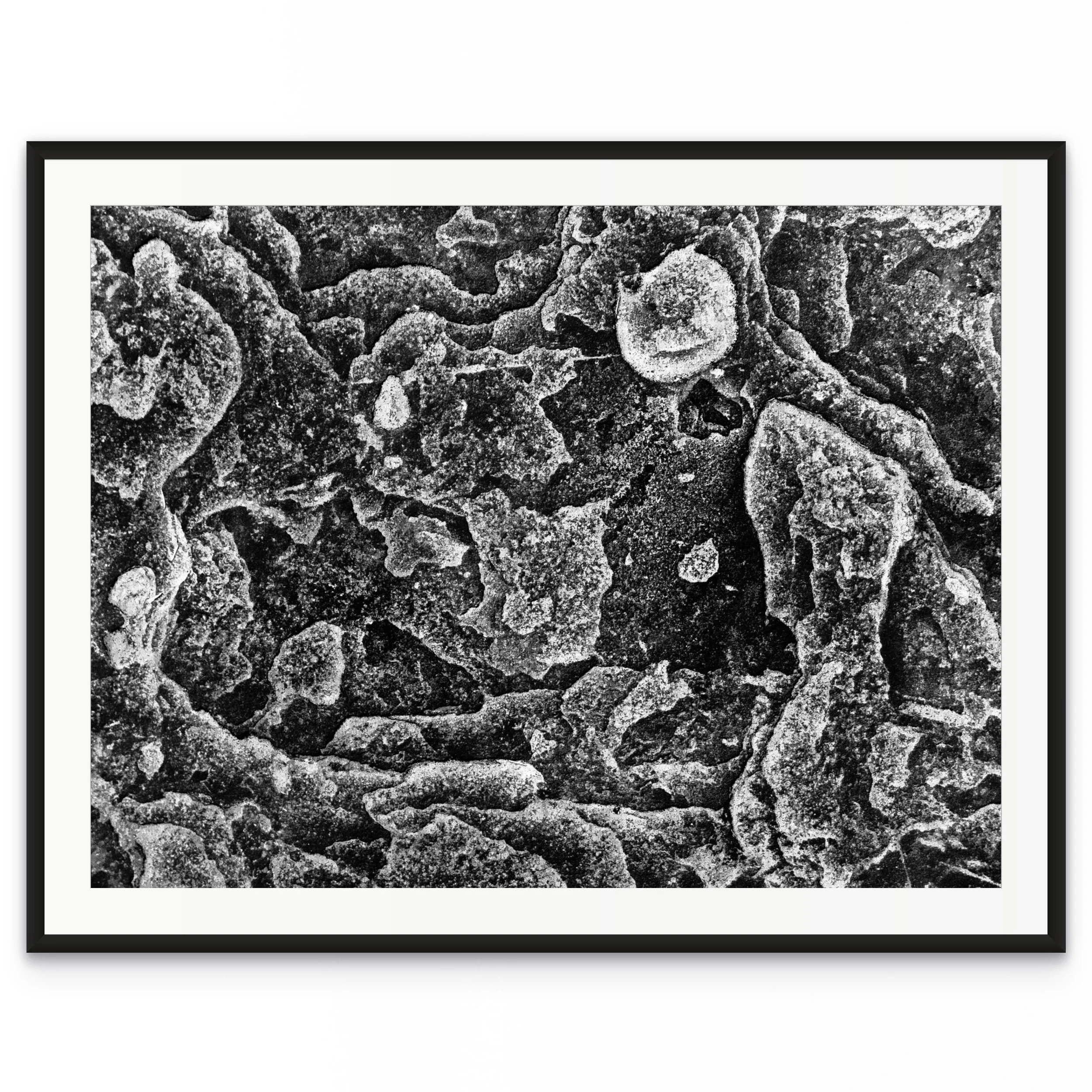 dsf0093-full (1).jpg