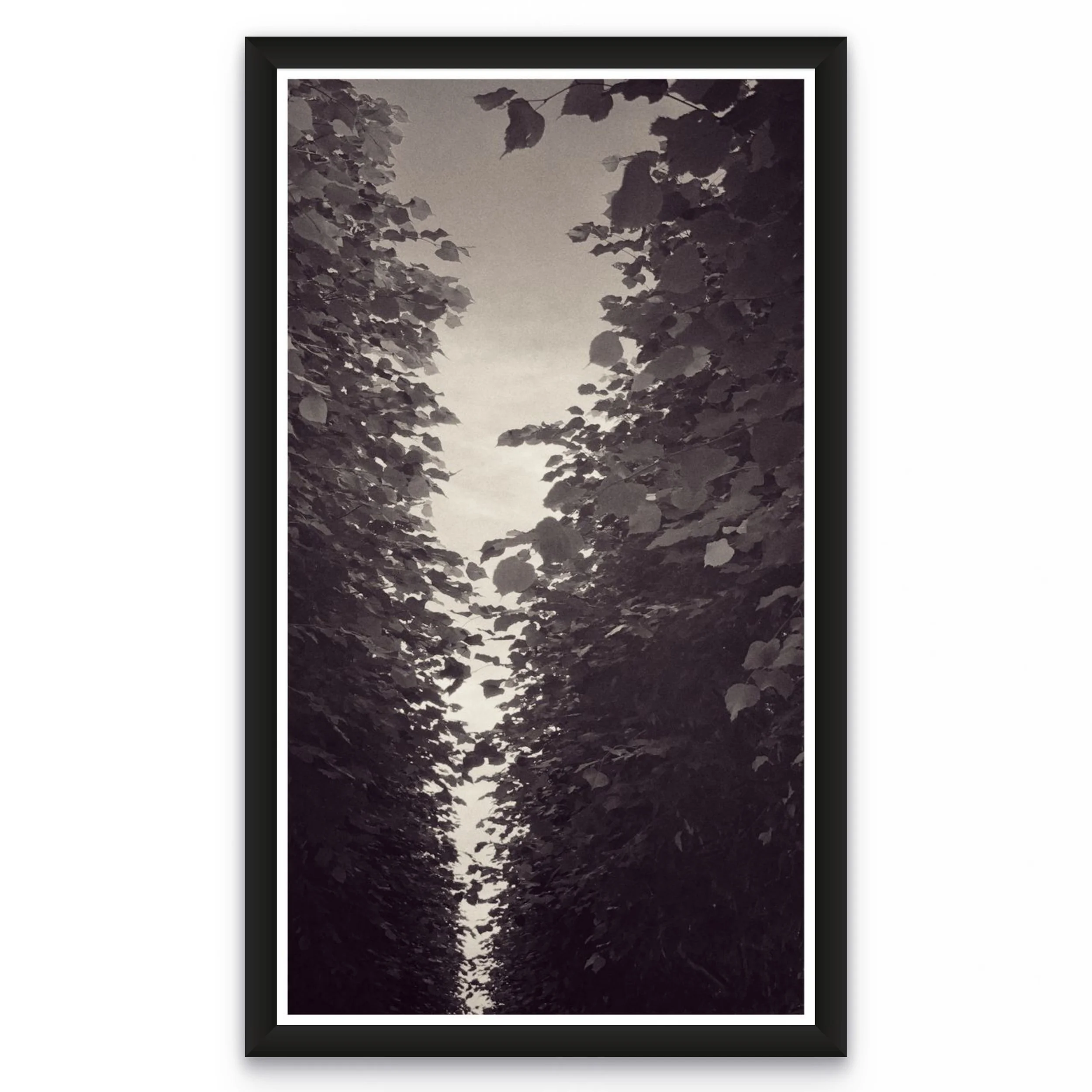 snapseed-3 2-full.jpg