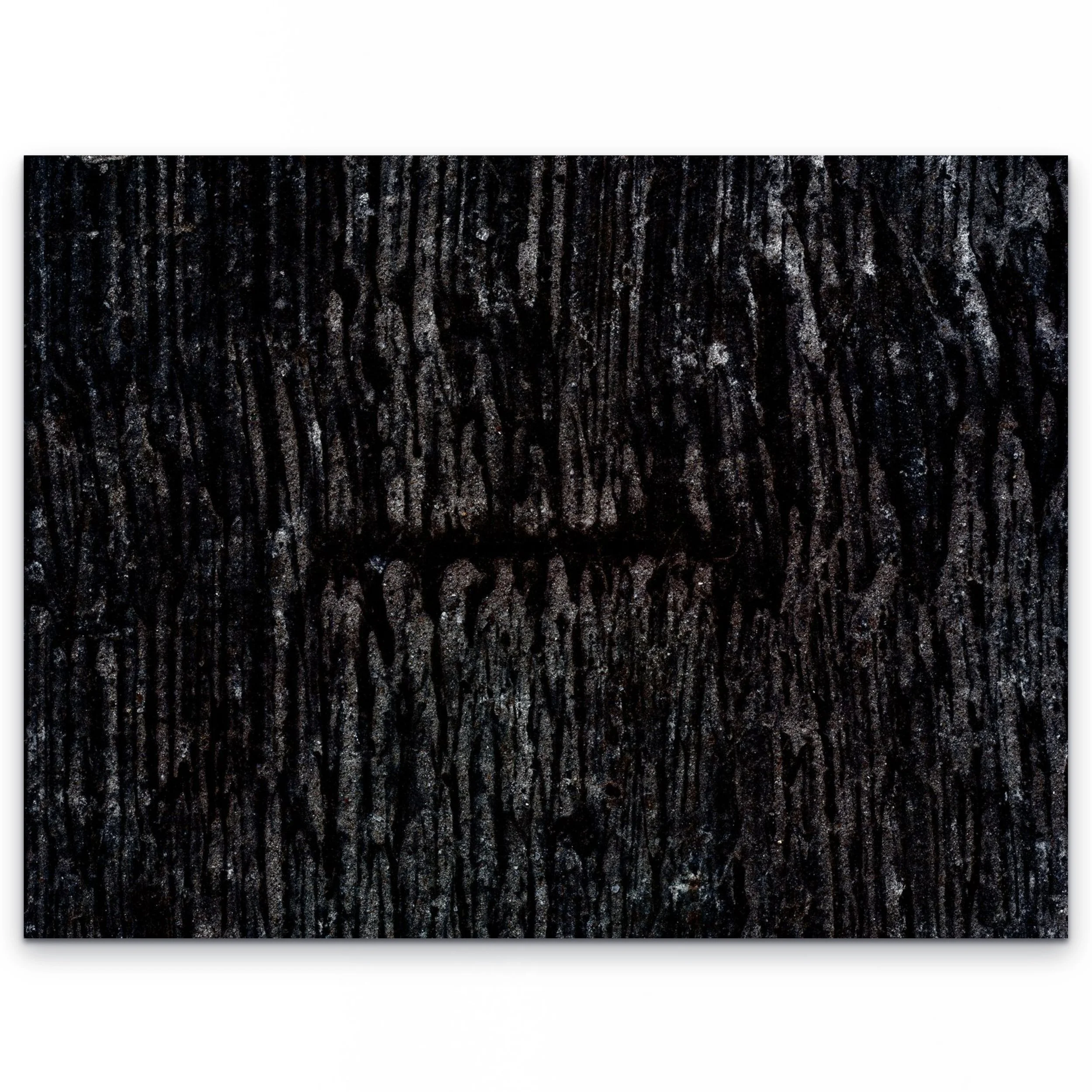 underfoot n36 2025-full.jpg